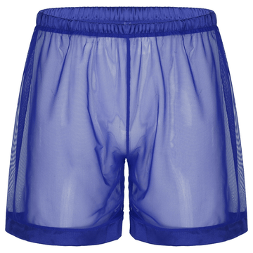 Men's See-Through Nightwear / Lounge Mesh Boxer Shorts for Men / Male Sexy Underwear - EVE's SECRETS